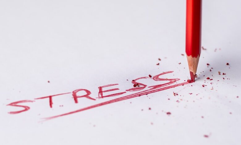 Sınav Öncesi Strese Ne İyi Gelir?